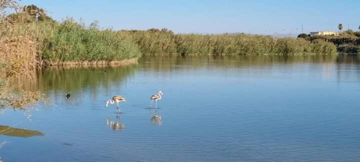 Vera Natura Apartamento Laura Lägenhet Exteriör bild